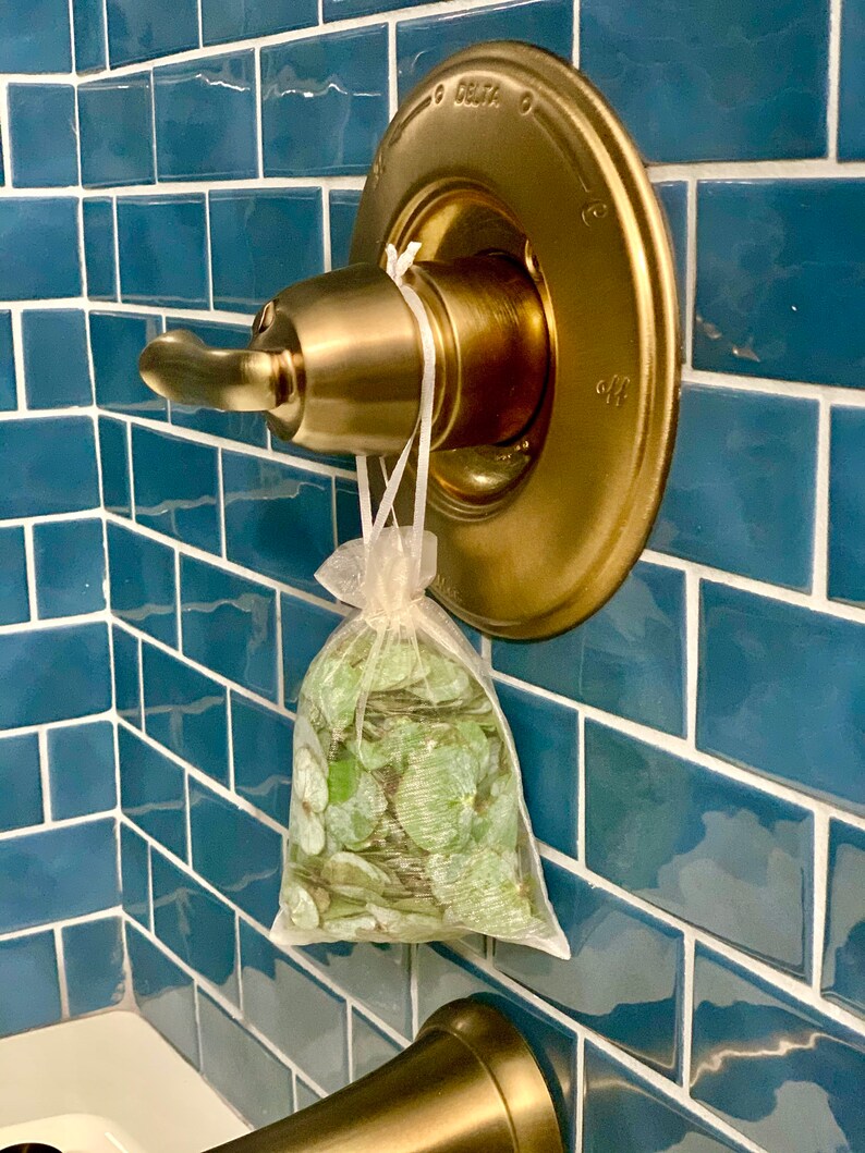 Eucalyptus Shower & Bath Leaves Pouches Sinuses and Etsy