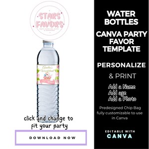 Alice in Wonderland Birthday Party  Water Bottle Label Sticker CANVA templates Custom Favor party favor bags snack bags favors