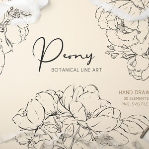 Clipart botânico de peônia, moldura botânica desenhada à mão, arte de linha de flores silvestres, PNG floral, design de logotipo de monograma de vetor de casamento de belas artes