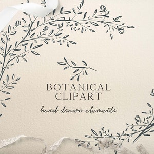 ClipArt botanica, ClipArt di cornici di fiori per matrimoni, Belle arti disegnate a mano, Illustrazione di linee di foglie di confine, Design del logo monogramma di nozze