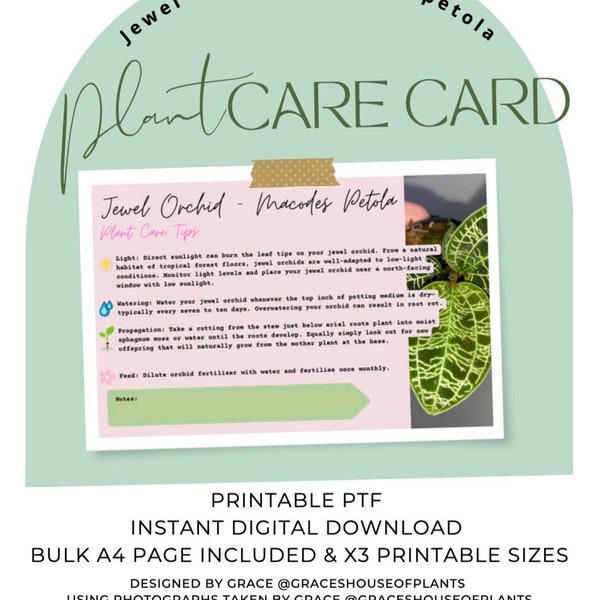 Jewel Orchid Care Card Pack | Digital Download, Plant labels, Printable Instructions, Plant Sitter Gift,