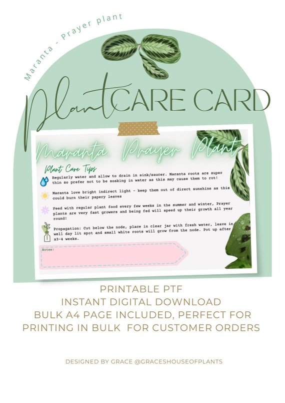 Maranta Care Card Pack for Small Businesses | Printable Plant Care &  Instruction Cards Digital Download Plant Labels Template for Shops - Etsy
