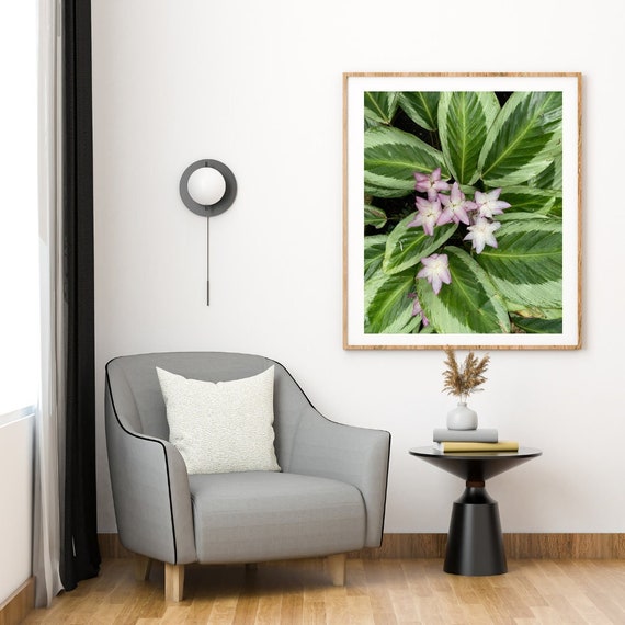 Blhende Calathea Print: Tropische Pflanzenkunst (Digitaler Download) -  Etsy.de
