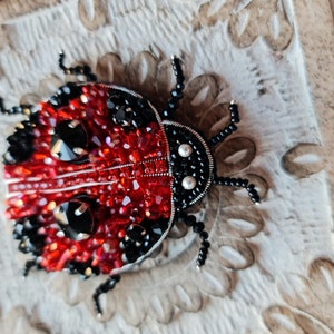 ladybug brooch, bug brooch, gift for husband image 5