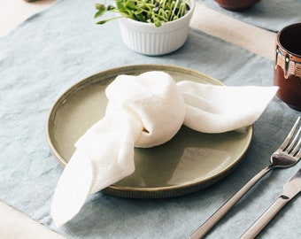 Softened Linen Dinner Napkins: Natural Table Decor (16x16 in)