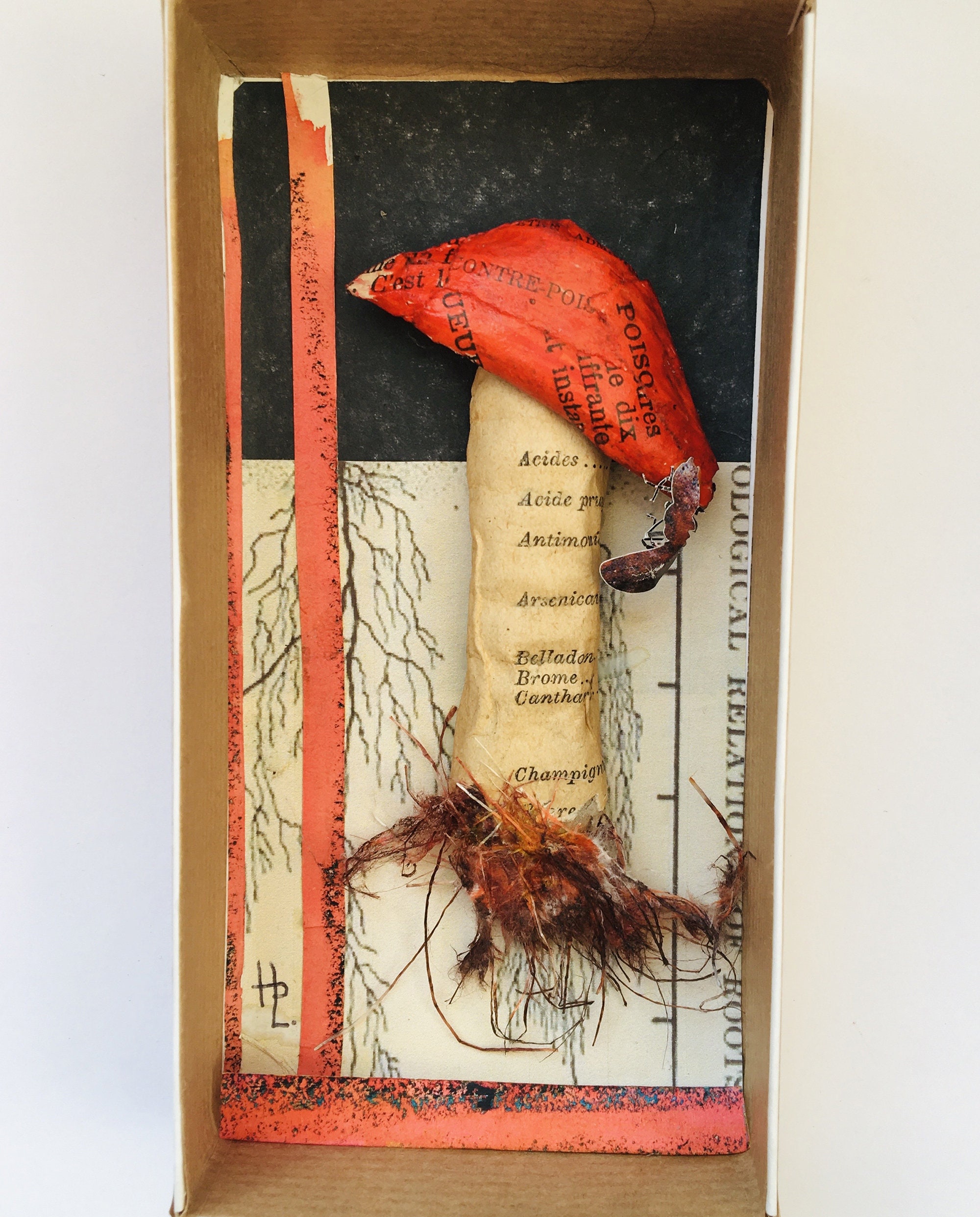 Diorama Champignon Orange et Fourmi en Carton Papiers Upcycled Dans Petite Boîte Pour Cabinet de Cur