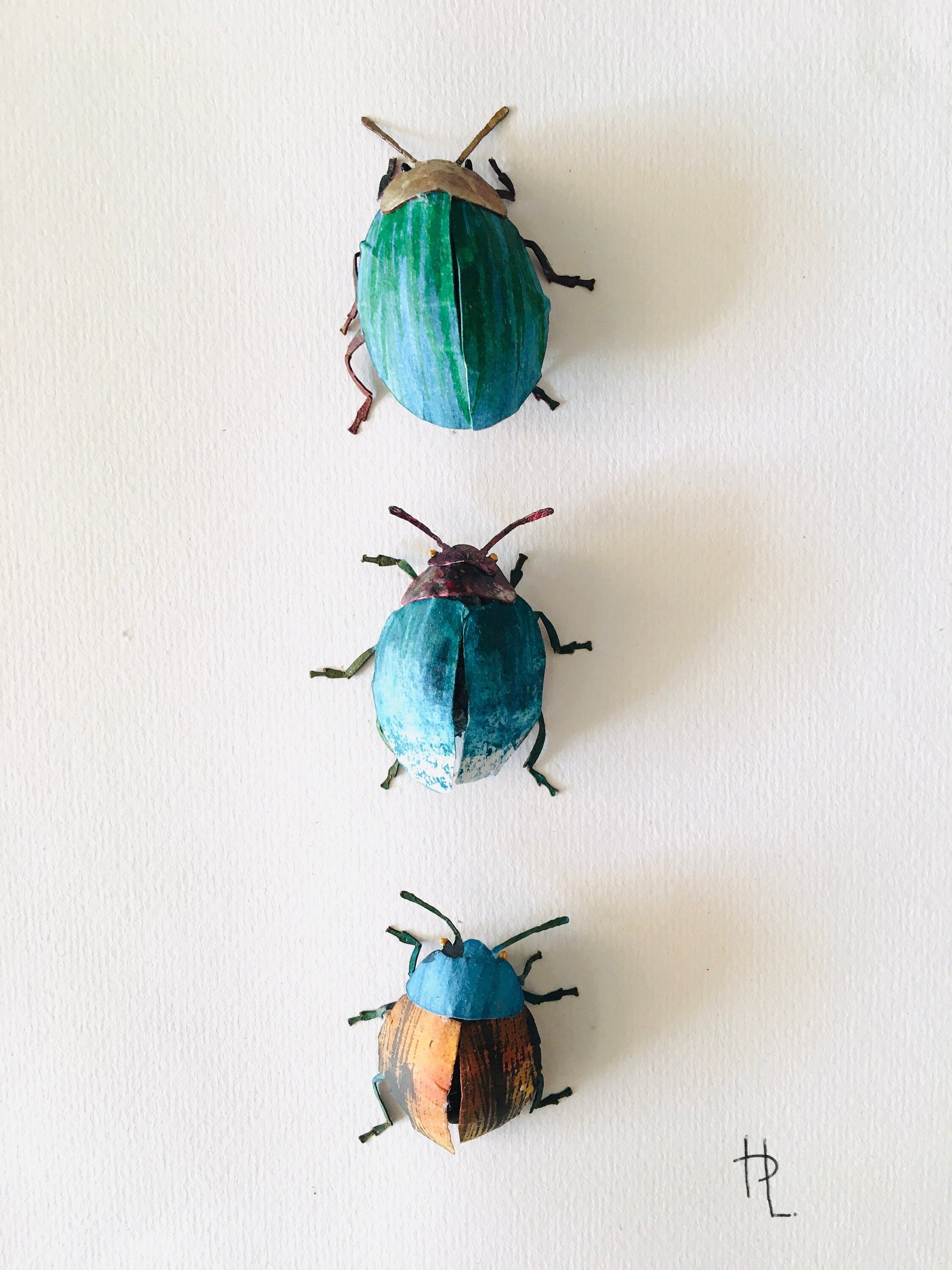 Coccinelles Bleues Sculptées en Papiers Upcycled Dans Petit Cadre-Boite Noir Pour Cabinet de Curiosi