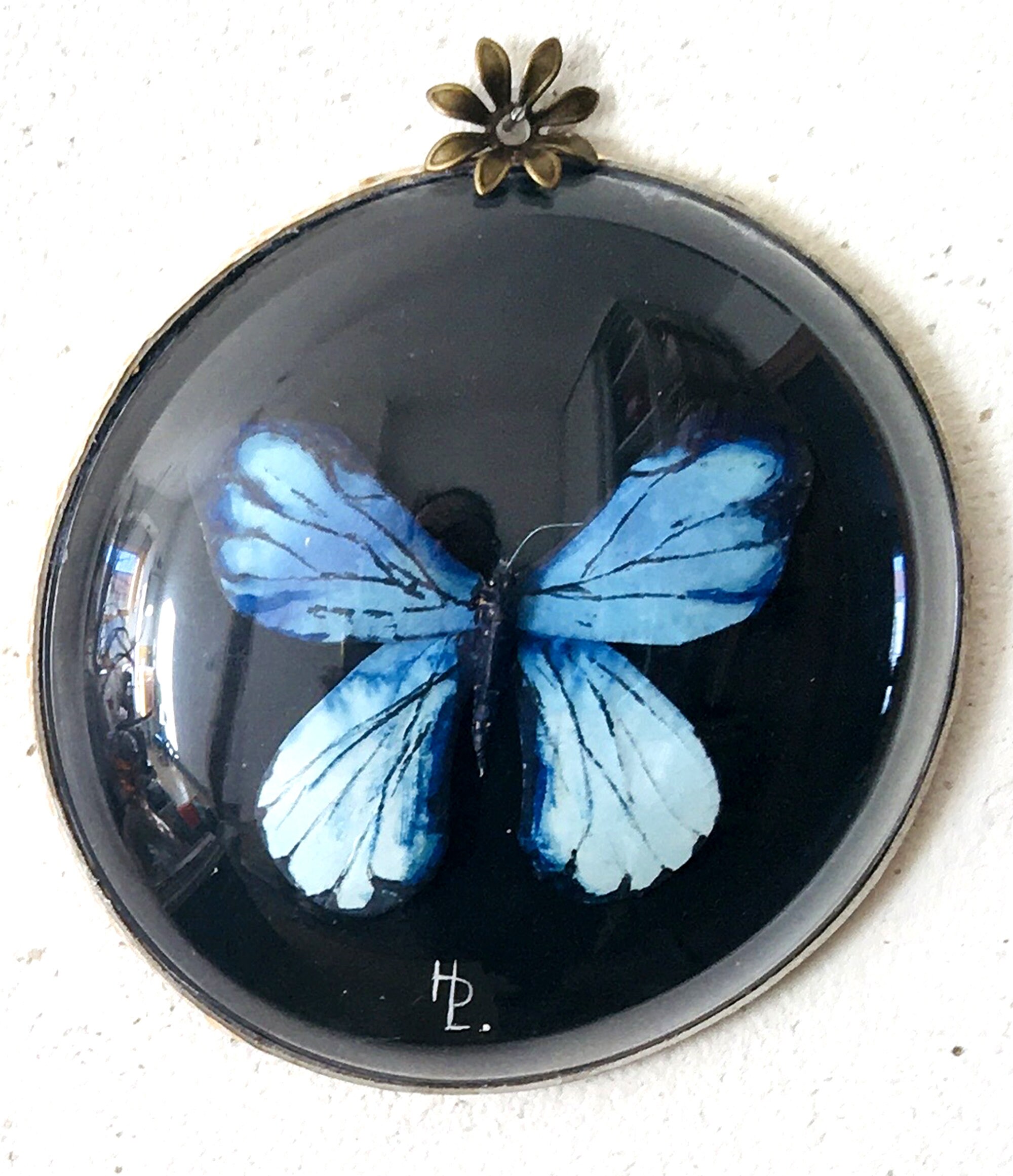 Verre de Montre avec Papillon Bleu en Papiers Sculpté Peint à La Main Pour Cabinet Curiosité Écologi