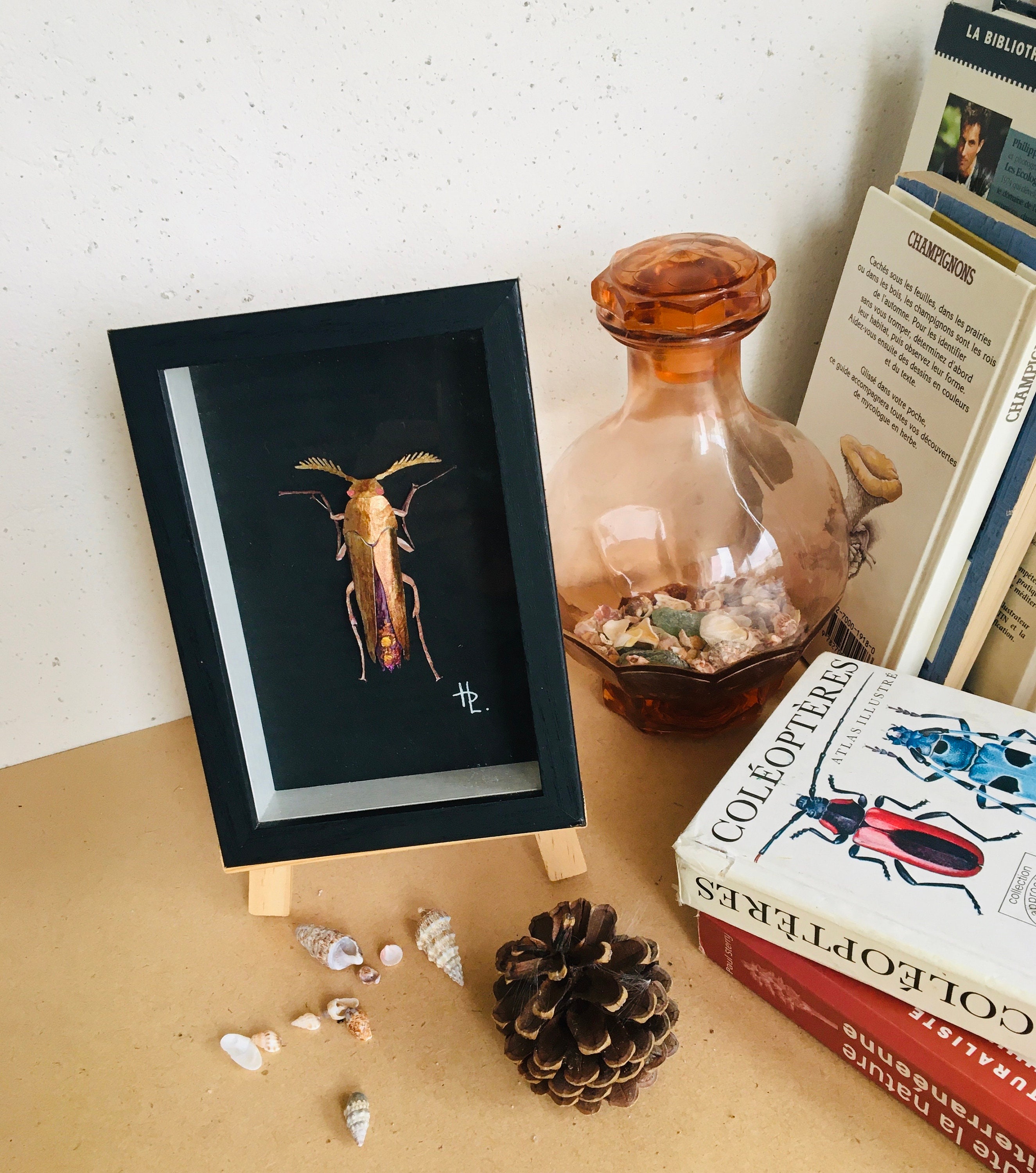 Scarabée Brillant Sculpté Cuivre et Or en Papiers Upcycled Dans Petit Cadre-Boite Noir Pour Cabinet 