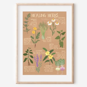 Herbes médicinales - impression d'art cuisine décoration murale médecine naturelle affiche thé illustration boho hippie plante puissance homéopathique fleurs cadeau