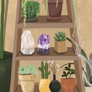 May include: A wooden shelf unit with multiple shelves, each displaying a variety of potted plants, crystals, and other decorative items. The shelves are brown and the background is a light beige colour.
