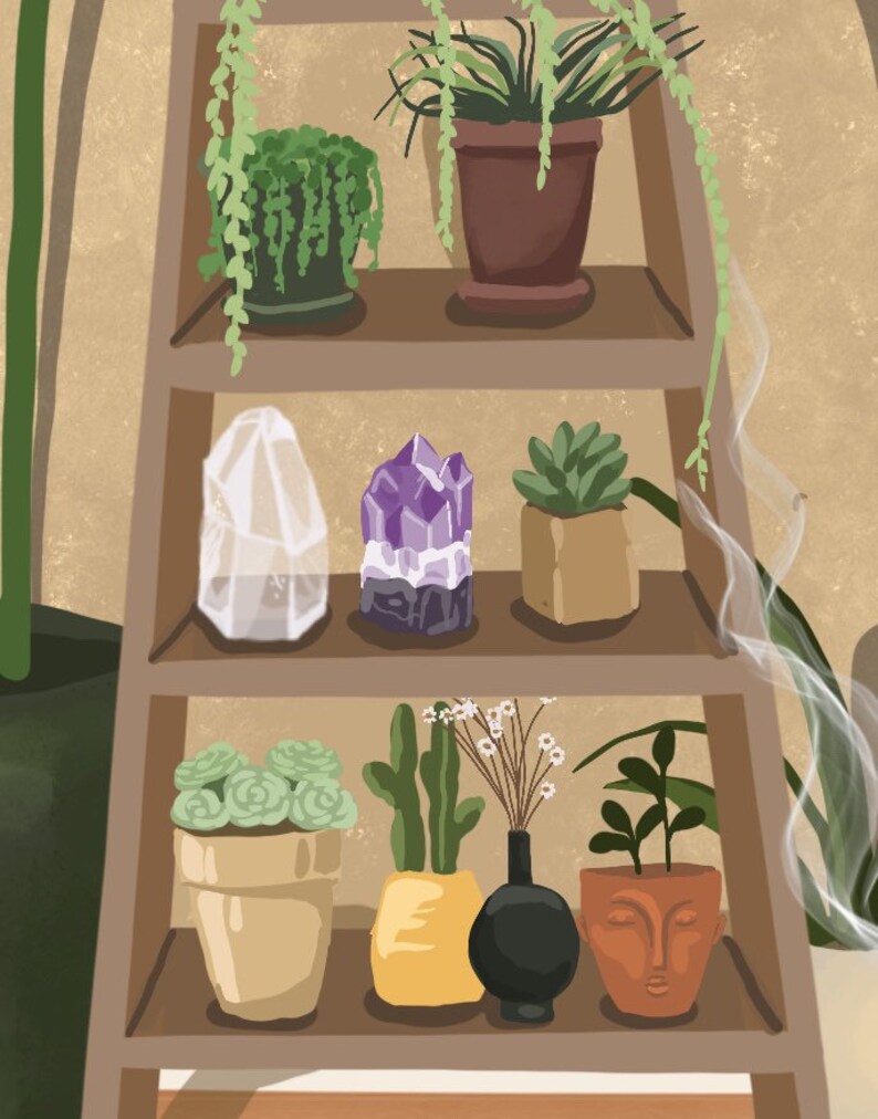 May include: A wooden shelf unit with multiple shelves, each displaying a variety of potted plants, crystals, and other decorative items. The shelves are brown and the background is a light beige colour.