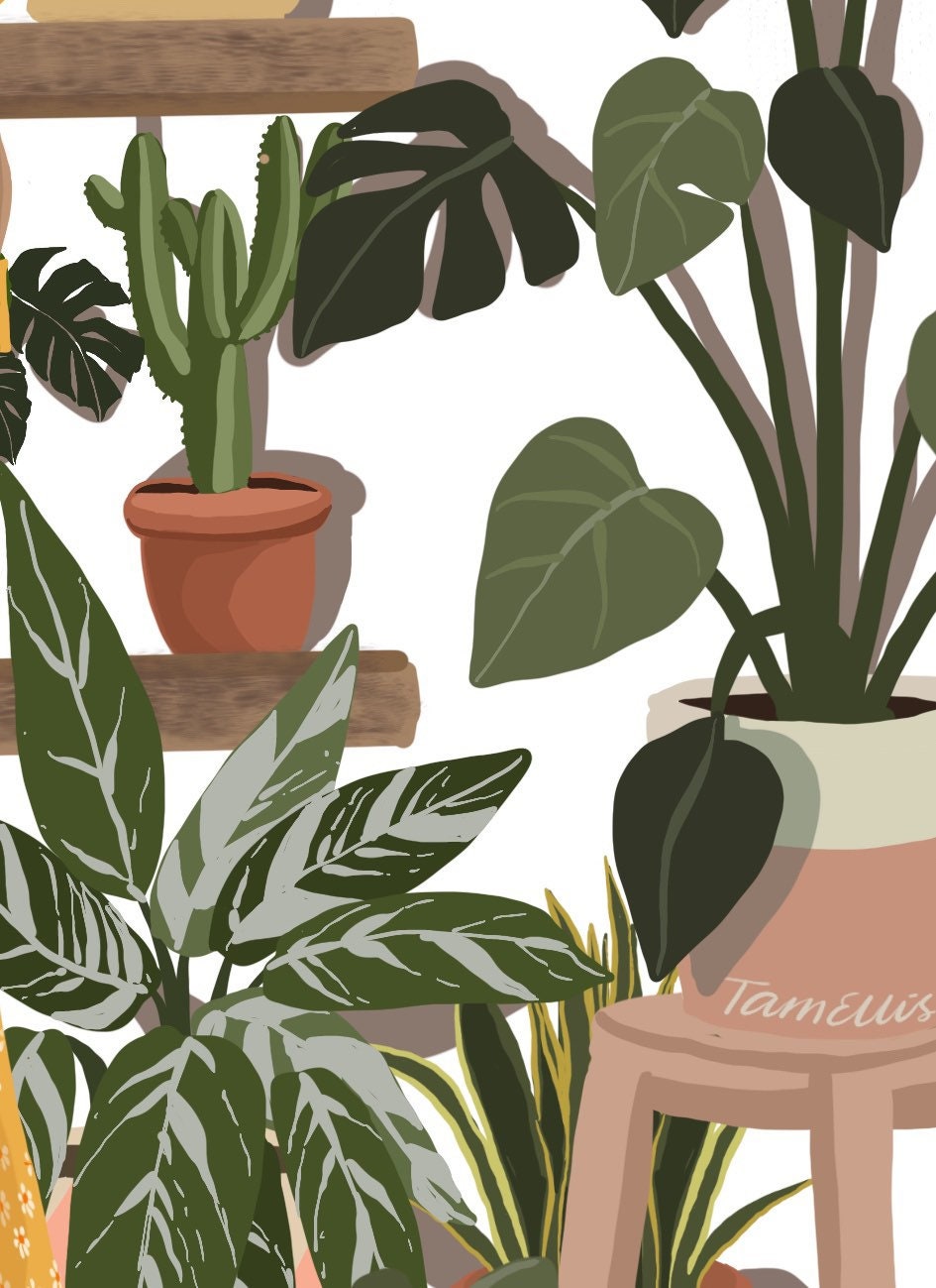 Plant Mania Fine Art Print Houseplant Illustration | Etsy UK