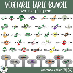 Lot d'étiquettes de jardin SVG, étiquettes de légumes, motifs de piquets de jardin, étiquettes de légumes imprimables, légume SVG, SVG de jardin, cadeaux jardin