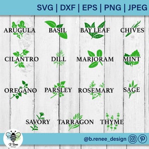May include: A digital graphic showing green herb illustrations with names: arugula, basil, bay leaf, chives, cilantro, dill, marjoram, mint, oregano, parsley, rosemary, sage, savory, tarragon, and thyme. File types include SVG, DXF, EPS, PNG, and JPEG.