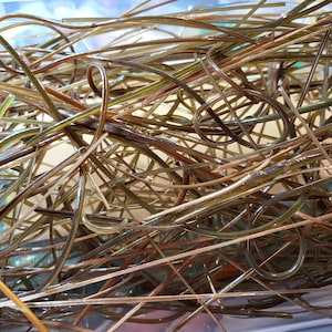 May include: A close-up of a tangled pile of thin, brown and green wires. The wires are arranged in a random pattern, creating a chaotic and abstract image.