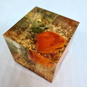 Vera Lanterna Cinese Fiore Portafortuna Resina Racchiusa 5cm Cubo Peso carta Decor Ornamento Personalizzato, Resina Arte Oro Foglia Glitter Letto