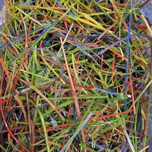 May include: A close-up of a pile of colorful, thin, plastic sticks. The sticks are in various shades of green, blue, red, and yellow.