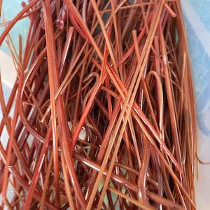 Puede incluir: Primer plano de un montón de palitos delgados, flexibles, de plástico rojo y marrón.