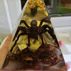 Real Tarantula Spider in Resin Pyramid  Burrow, Handmade, Beautiful Décor Piece, One Off, 13x15cm, Custom Colours and Theme to Choose Custom