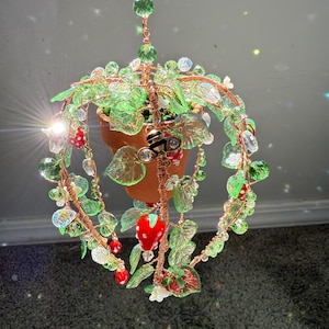 Erdbeerblüte Sukkulente