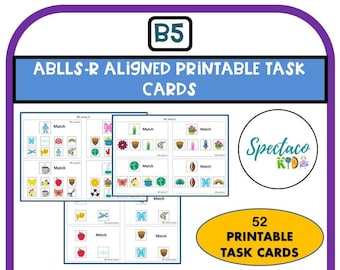 ABLLS-R Aligned B5 Matching Task Cards, Autism Visual Performance (PDF)