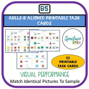 ABLLS-R Aligned B5 マッチングタスクカード、サンプルと同一の写真、自閉症評価、ABLLS-R、マッチングタスクカード、自閉症リソース