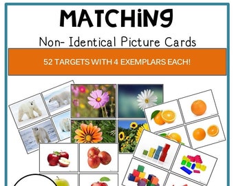 Non-Identical Matching Cards, Autism ABA ABLLS (Printable)