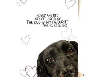 A5 Spaniel Dog Valentine’s card (With envelope)