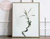 Lucky Bamboo Plant Print, Leaf Print 20, Bamboo Photography, African Plant, House Plant Poster, Modern Decor, Home Accessories, Living Room