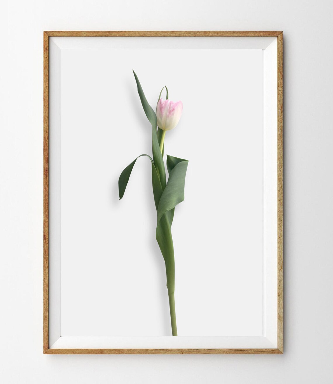 Minimal Floral Poster Pink Tulip Flower Print 6 Pink Green Etsy