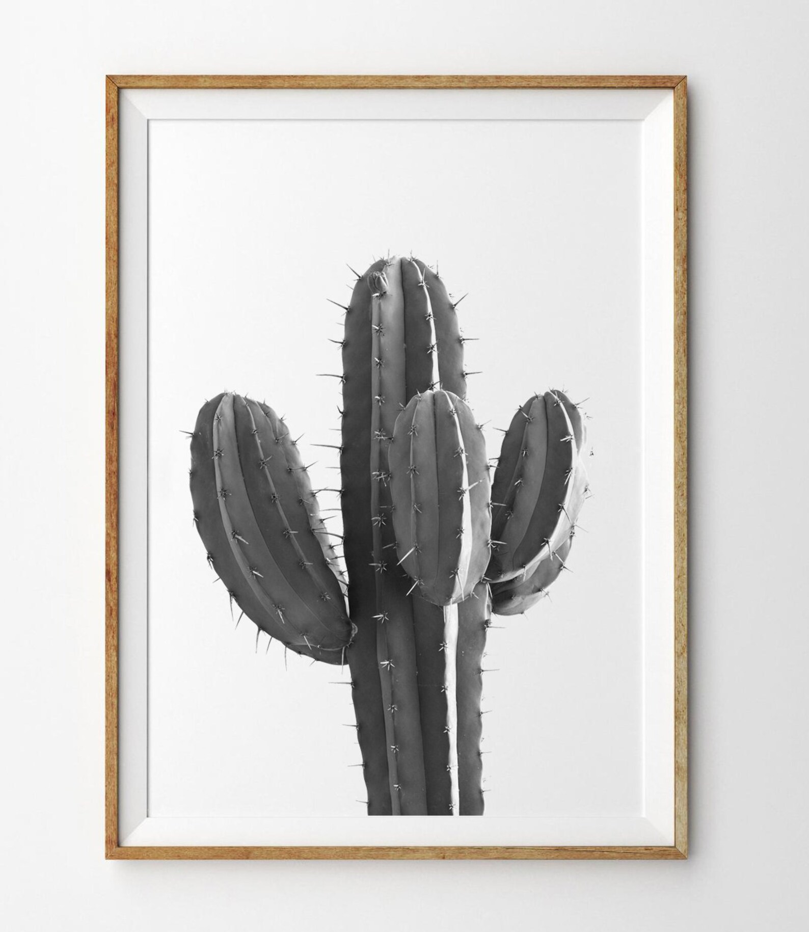 Boho Cacti Print 1 South Western Wall Art Boho Decor Desert Etsy