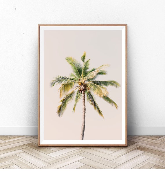 Pastel Palm Tree Print 1 California Home Decor Palm Picture | Etsy