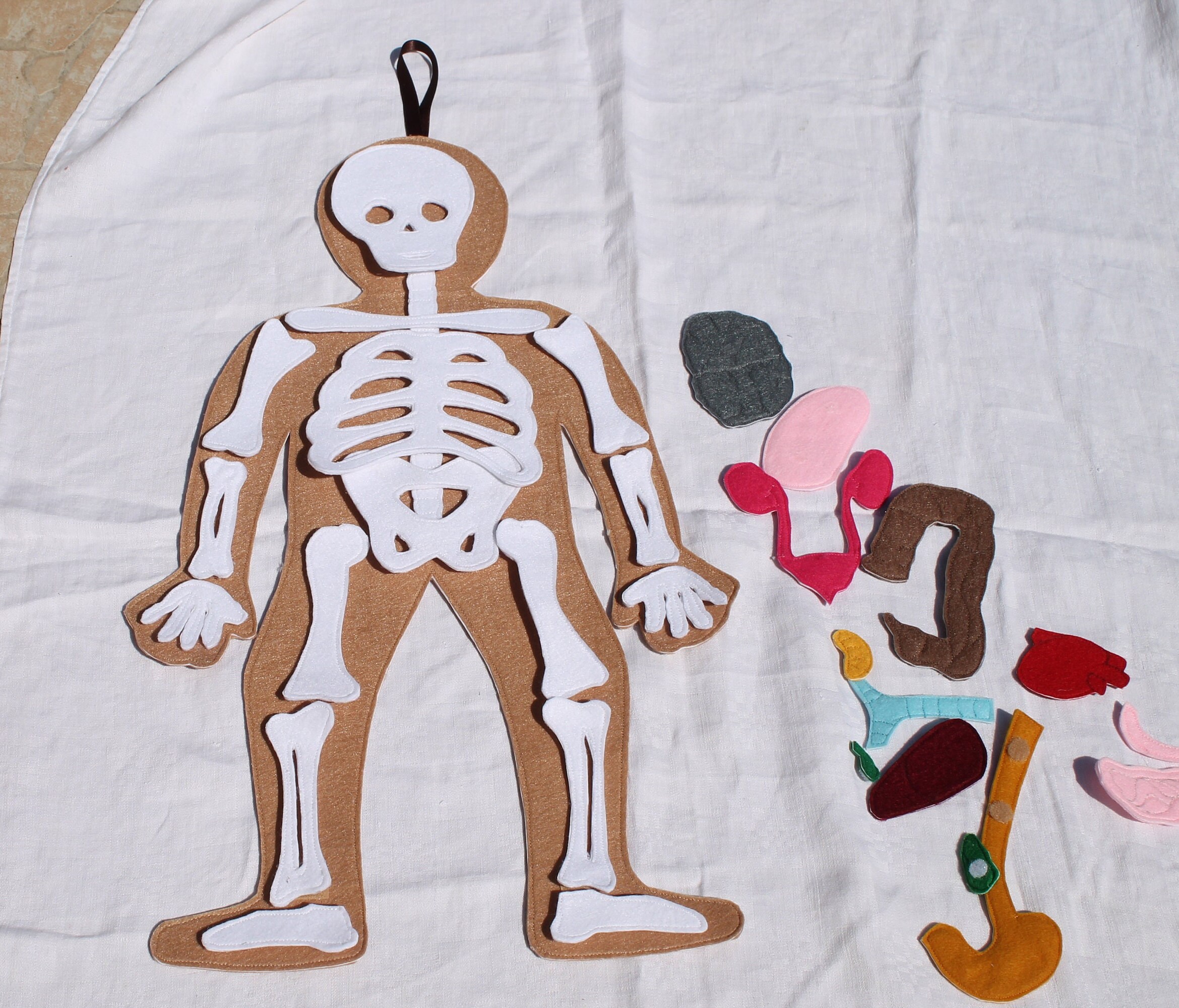 3 Pièces/ensemble Lumineux Drôle Squelette Humain Modèle Crâne Corps  Complet Mini Figure Jouets Halloween Cadeau Pour Enfants Adulte Fête  Ornement