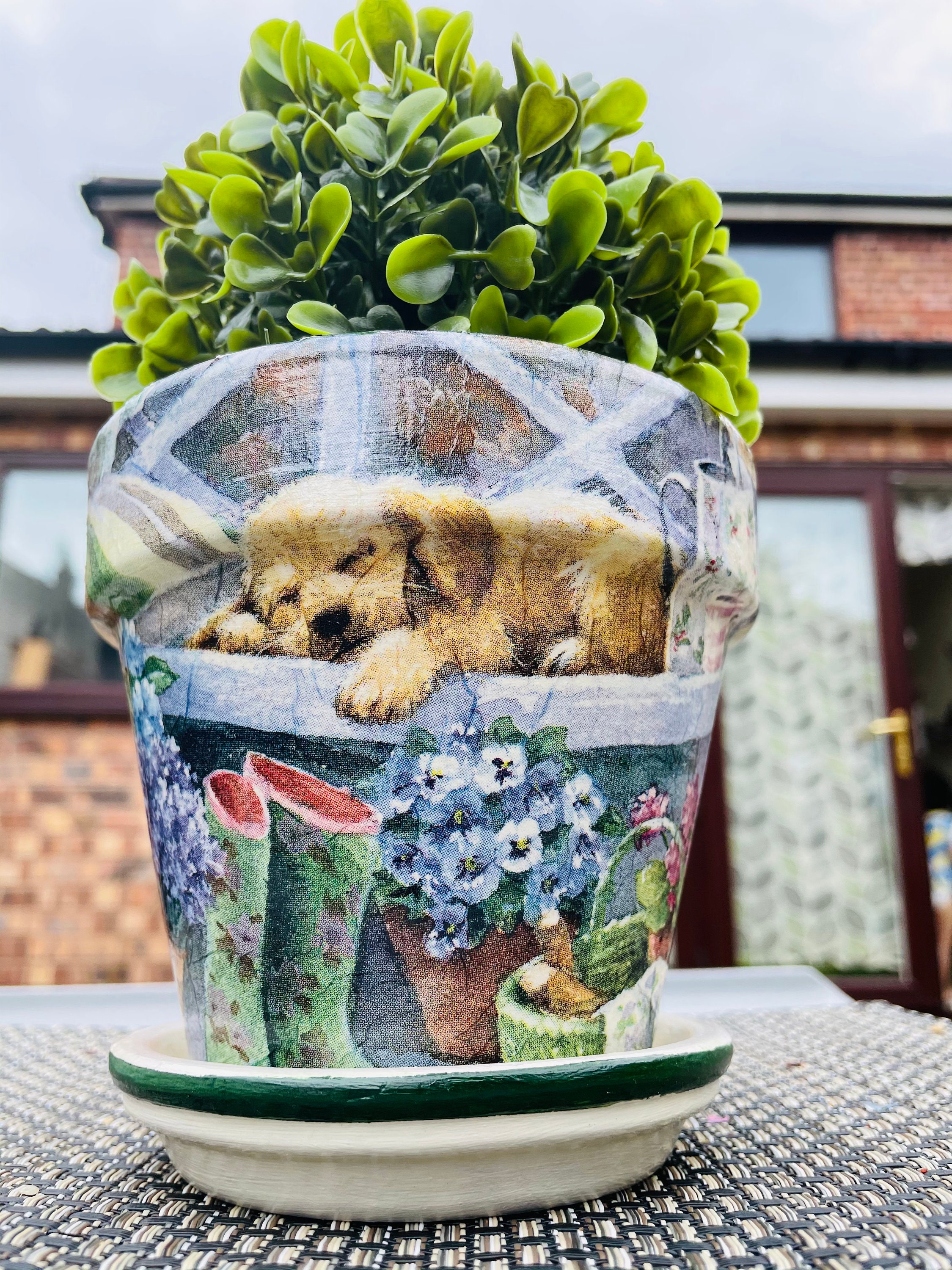 Dog plant pots terracotta pots decoupaged plant pots dog Etsy