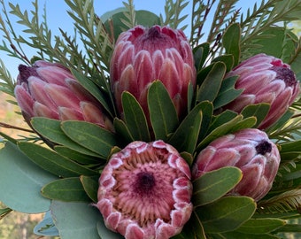 FRESH PICKED Protea Bouquet