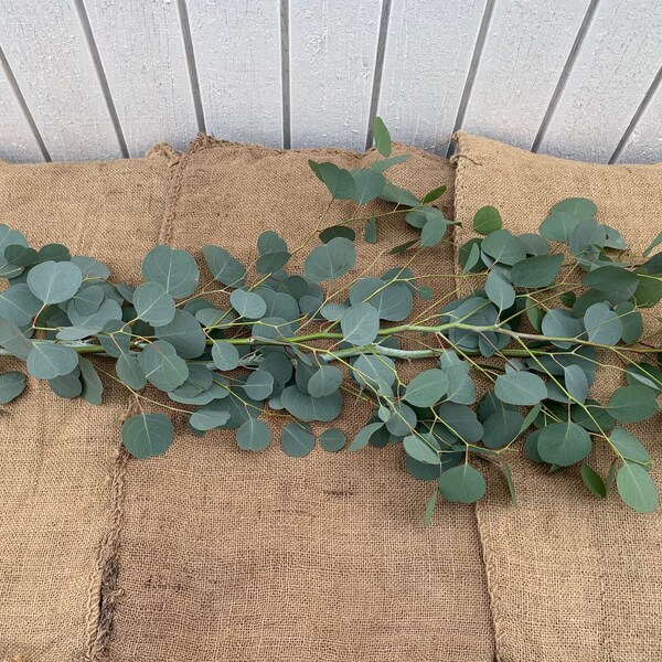 Eucalyptus Table Runner Etsy