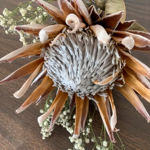 KING Protea essiccata / Boho / Matrimonio / Bouquet fai da te