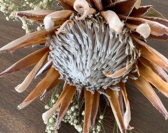 Dried KING Protea | Boho | Wedding | DIY Bouquet