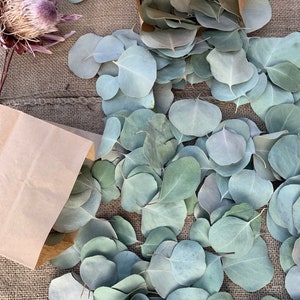 Dried Eucalyptus Confetti