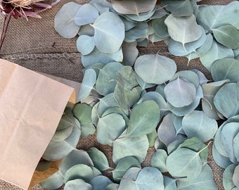 Dried Eucalyptus Confetti