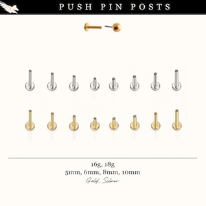 Può includere: Un assortimento di perni a spinta in oro e argento. L'immagine mostra varie dimensioni, tra cui 5 mm, 6 mm, 8 mm e 10 mm, e calibri 16g e 18g. Il testo in alto recita "PUSH PIN POSTS".