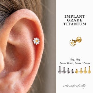 May include: A gold-tone flat back stud earring featuring a white and yellow daisy flower design. The text reads IMPLANT GRADE TITANIUM, 16g, 18g, 5mm, 6mm, 8mm, 10mm, and sold individually. The earring is shown inserted into an ear cartilage piercing.
