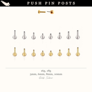 May include: An assortment of push pin posts in gold and silver. The image displays various sizes, including 5mm, 6mm, 8mm, and 10mm, with gauges of 16g and 18g. The text "PUSH PIN POSTS" is at the top.