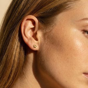 May include: A close-up of a person's ear with a small, gold-colored paw print stud earring. The earring is a detailed representation of a paw print. The person has light skin and long, light brown hair.
