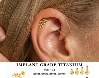 16G/18G Tiny leaf Titanium Earring Threadless Flatback · Olive branch Stud Earring · Greek Jewelry · Cute Leaf Earring · Tarnish Free ·