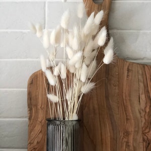 Dried lagurus grass (bunny tails) 40cm long