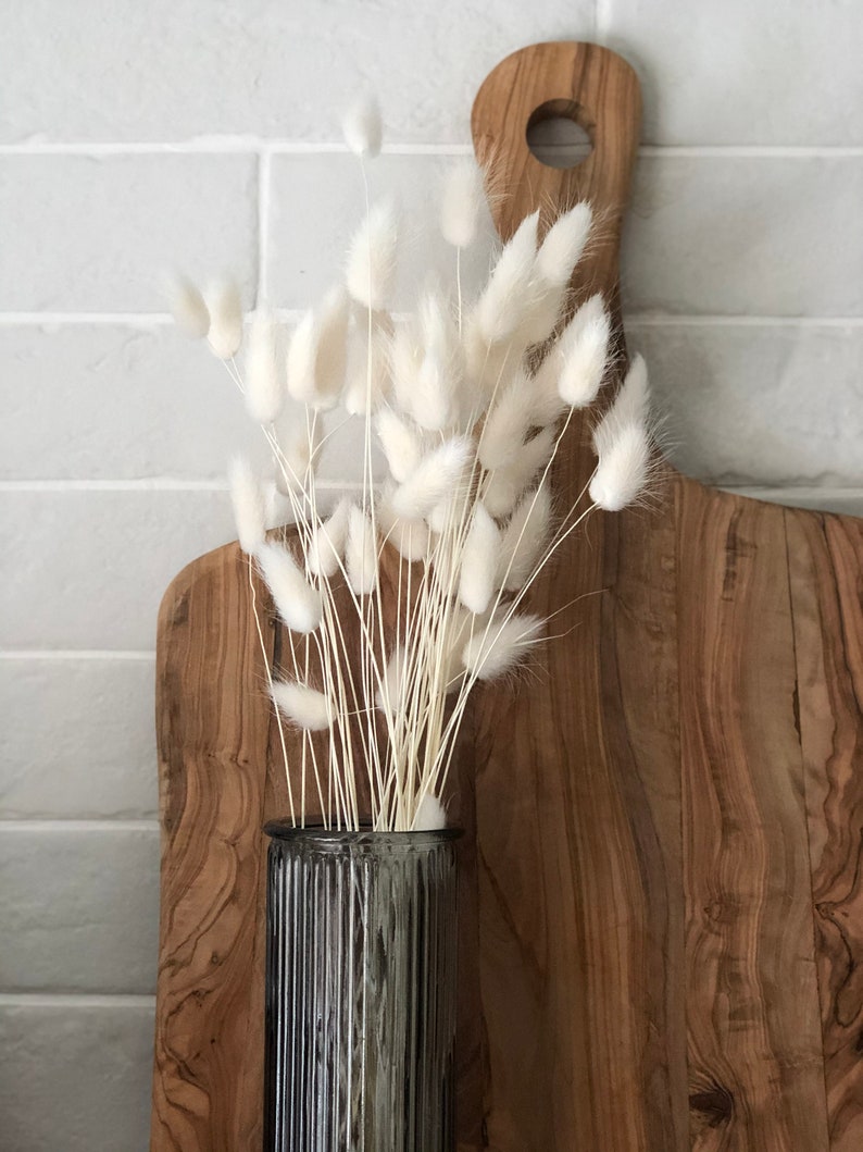 Dried Lagurus Grass bunny Tails 40cm Long Etsy