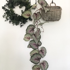 Pink and green faux trailing begonia plant