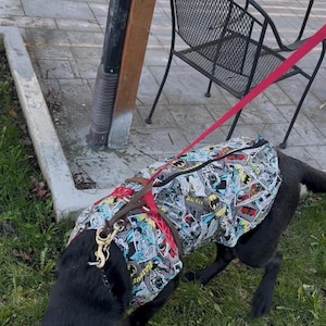 May include: A black dog wearing a Batman-themed harness and vest. The vest features a colorful comic book print with Batman logos and action scenes. A red leash is attached to the harness, and the dog is on green grass.